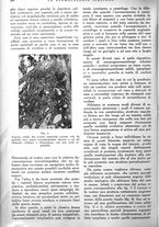 giornale/RML0023157/1942/unico/00000578