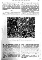 giornale/RML0023157/1942/unico/00000603