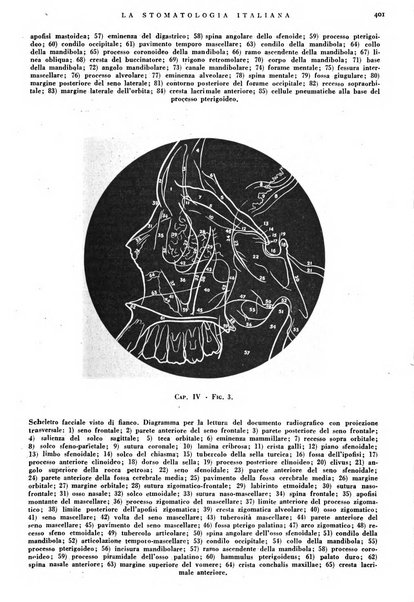 La stomatologia italiana organo ufficiale della Associazione nazionale culturale fascista stomato-odontologica