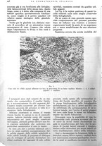 giornale/RML0023157/1942/unico/00000674