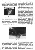 giornale/RML0023157/1942/unico/00000745