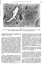 giornale/RML0023157/1942/unico/00000765
