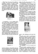 giornale/RML0023157/1942/unico/00000879