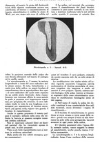 giornale/RML0023157/1942/unico/00000881