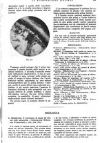 giornale/RML0023157/1942/unico/00000991