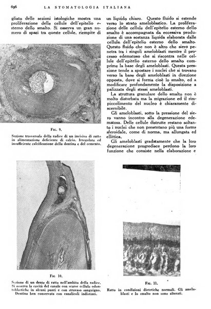 La stomatologia italiana organo ufficiale della Associazione nazionale culturale fascista stomato-odontologica