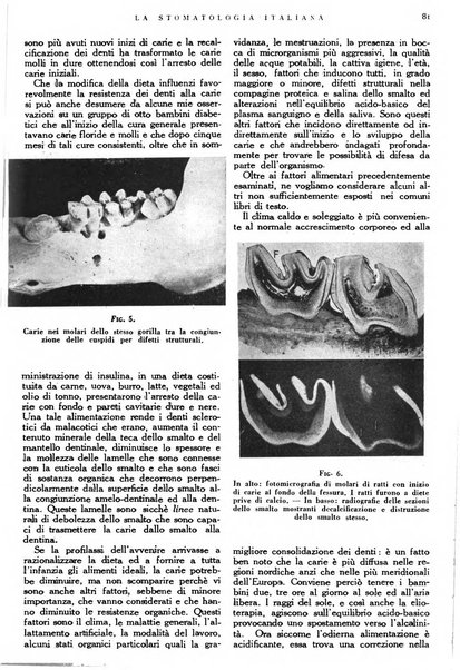 La stomatologia italiana organo ufficiale della Associazione nazionale culturale fascista stomato-odontologica