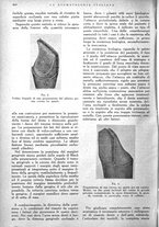 giornale/RML0023157/1943/unico/00000260