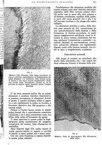 giornale/RML0023157/1943/unico/00000331