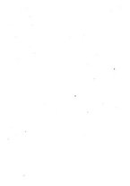 giornale/RML0023334/1920/unico/00000008