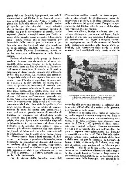 Rivista d'Italia e d'America rassegna mensile illustrata per la valorizzazione degli italiani all'estero ...