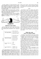 giornale/RML0023566/1908/unico/00000059