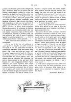 giornale/RML0023566/1908/unico/00000105