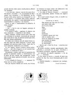 giornale/RML0023566/1908/unico/00000193