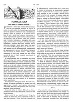 giornale/RML0023566/1911/unico/00000186