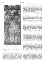 giornale/RML0023566/1911/unico/00000290