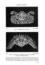 giornale/RML0023571/1936/unico/00000051