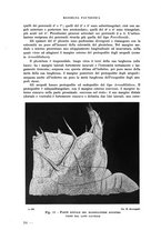 giornale/RML0023571/1936/unico/00000060