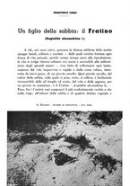 giornale/RML0023571/1936/unico/00000130