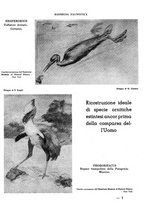 giornale/RML0023571/1936/unico/00000165