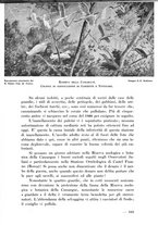 giornale/RML0023571/1936/unico/00000259