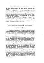 giornale/RML0023852/1917/unico/00000103