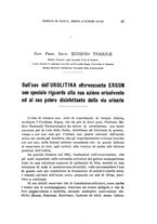 giornale/RML0023852/1919/unico/00000115