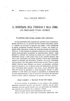 giornale/RML0023852/1920/unico/00000138