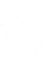 giornale/RML0023852/1925/unico/00000708