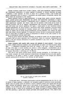 giornale/RML0023852/1926/unico/00000523