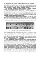 giornale/RML0023852/1926/unico/00000670