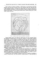 giornale/RML0023852/1931/unico/00000695