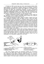 giornale/RML0023852/1936/unico/00000033