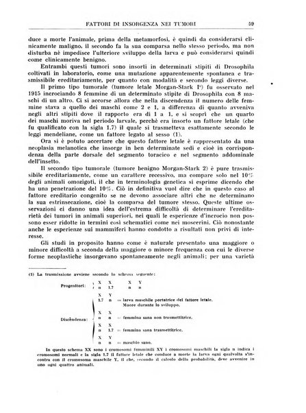 La rassegna di clinica, terapia e scienze affini