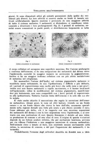 La rassegna di clinica, terapia e scienze affini