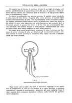 giornale/RML0023852/1944-1947/unico/00000271