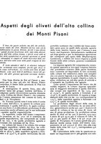 giornale/RML0024085/1934/unico/00000035