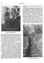 giornale/RML0024085/1934/unico/00000036