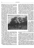 giornale/RML0024085/1934/unico/00000038