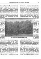 giornale/RML0024085/1934/unico/00000039