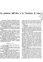 giornale/RML0024085/1934/unico/00000069