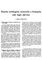 giornale/RML0024085/1934/unico/00000075