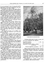 giornale/RML0024085/1934/unico/00000087