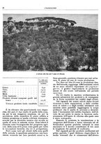 giornale/RML0024085/1934/unico/00000088