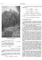 giornale/RML0024085/1934/unico/00000100