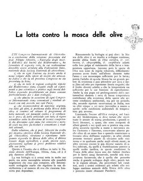 L'olivicoltore bollettino settimanale della Società nazionale degli olivicoltori