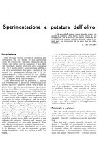 giornale/RML0024085/1934/unico/00000153