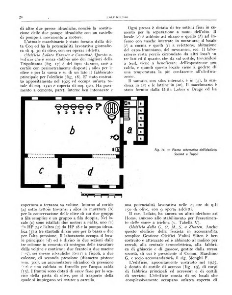 L'olivicoltore bollettino settimanale della Società nazionale degli olivicoltori