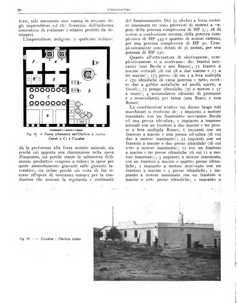 L'olivicoltore bollettino settimanale della Società nazionale degli olivicoltori