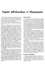 giornale/RML0024085/1934/unico/00000269